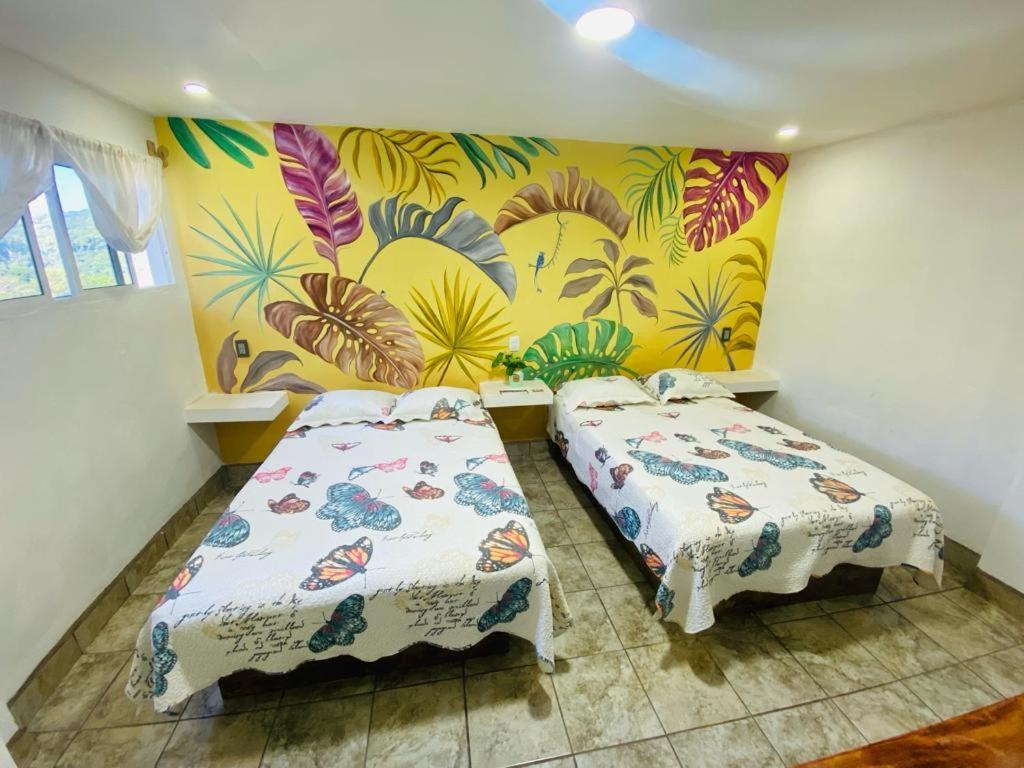 K&M Hotel Xilitla Dış mekan fotoğraf